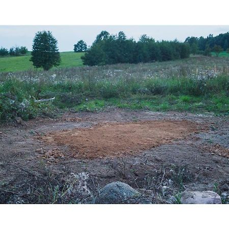 Place For Tent - Miejsce Na Namiot U Stop Natury Kuty Luaran gambar